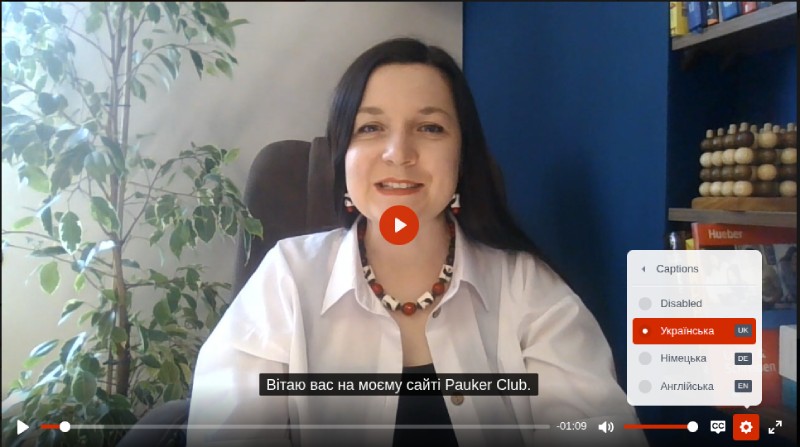 Субтири до відеокурсів